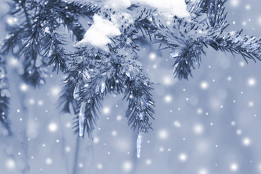 Similar image 21241433