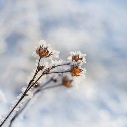 Similar image 21241727