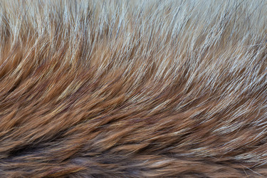 Similar image 21241757