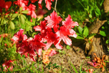 Similar image 21227134