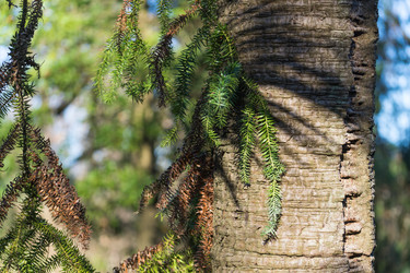 Similar image 21227135