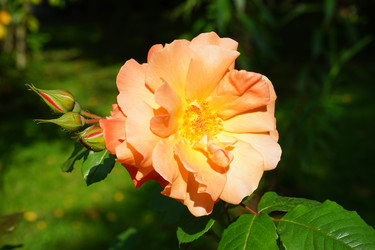 Similar image 21227136