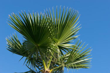 Similar image 21227137