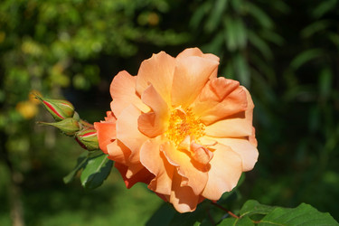 Similar image 21227140