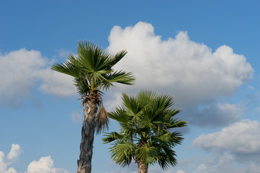 Similar image 21227141