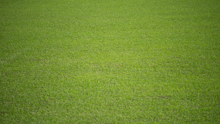 Similar image 21227143