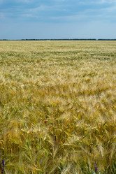 Similar image 21227144