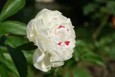 Similar image 21227147