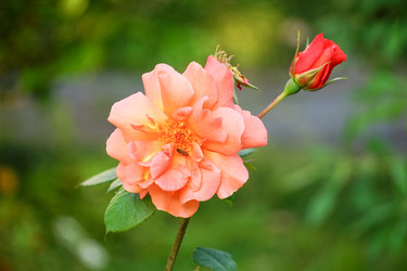 Similar image 21227154