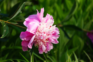 Similar image 21227156