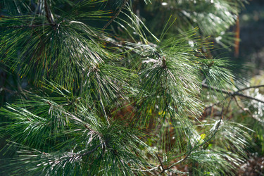 Similar image 21227157