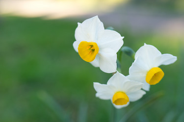 Similar image 21227161