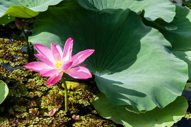 Similar image 21225991