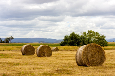 Similar image 21225993