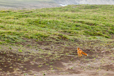 Similar image 21225995