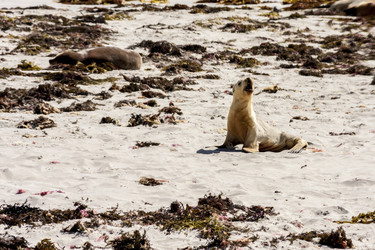 Similar image 21226024