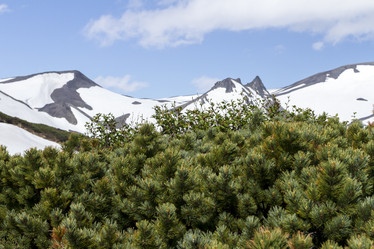 Similar image 21225997