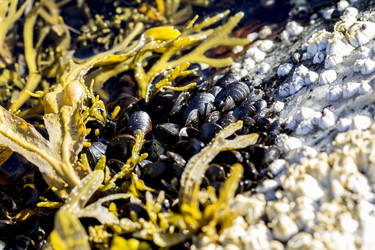 Similar image 21226007