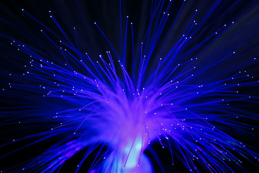 Similar image 21238624