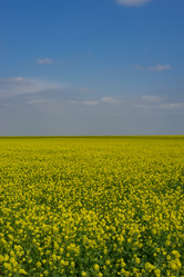 Similar image 21227176