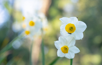 Similar image 21227180