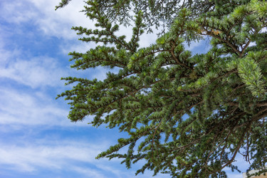 Similar image 21227181