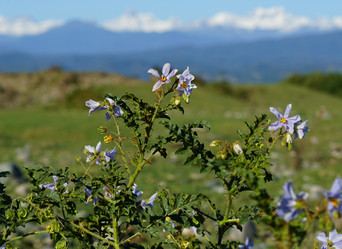 Similar image 21227185