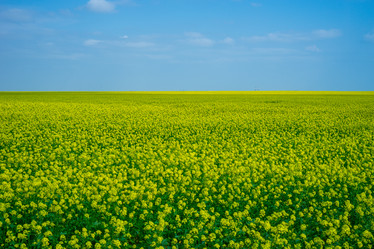 Similar image 21227188