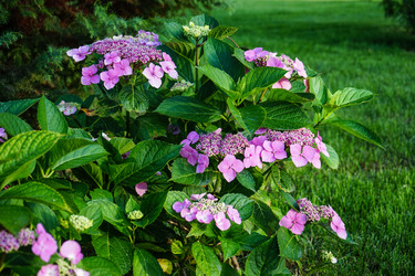 Similar image 21227196