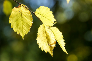 Similar image 21227197