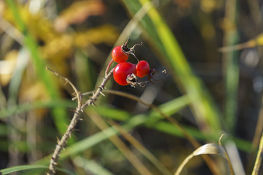 Similar image 21227207