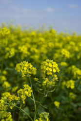 Similar image 21227208