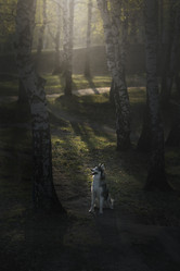 Similar image 21243412