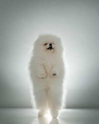 Similar image 21243414