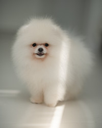 Similar image 21243427