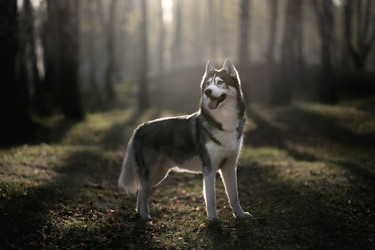 Similar image 21243428