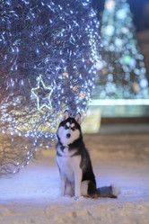 Similar image 21243429