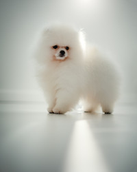 Similar image 21243430