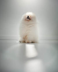 Similar image 21243431