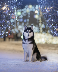 Similar image 21243432