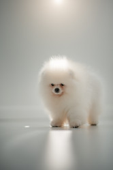 Similar image 21243446