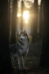 Similar image 21243447