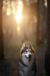 Similar image 21243449