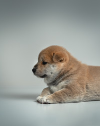 Similar image 21243450