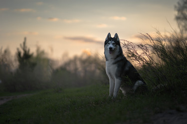 Similar image 21243451