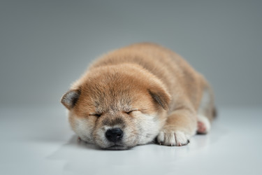 Similar image 21245600