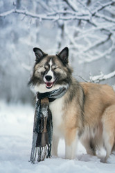 Similar image 21245601