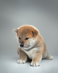 Similar image 21245603