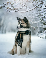 Similar image 21245605