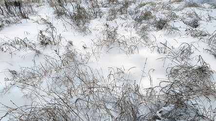 Similar image 21228484